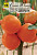 Томат Диоранж  F1