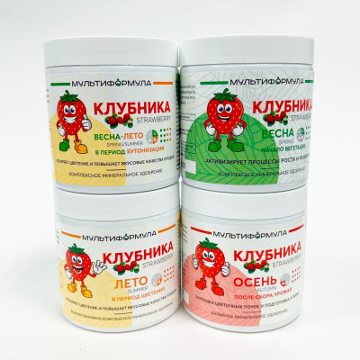 Мультиформула для Клубники Лето 0,5кг