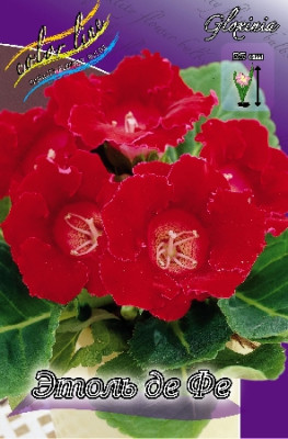 Глоксиния Этоль Де Фе (1шт) 3560