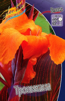 Канна Тропикана (декор.) (2шт) 4525