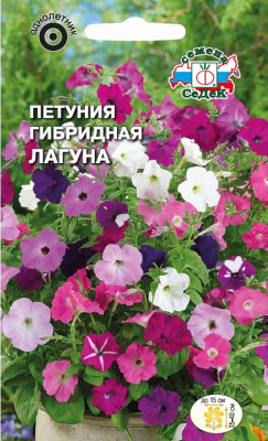 Петуния Лагуна ампельная