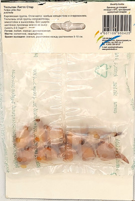 Тюльпан Литтл Стар (10шт)