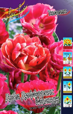 Тюльпан Дабл Дифференс Микс (1шт)