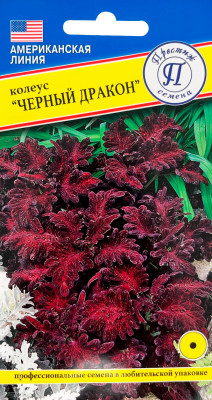 Колеус Черный дракон 10шт