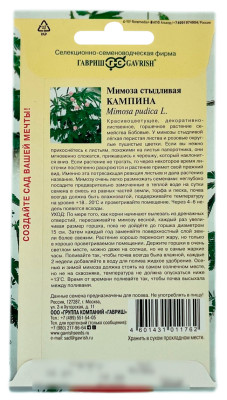 Мимоза стыдливая Кампина ГАВРИШ описание