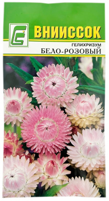 Гелихризум бело-розовый ВНИИССОК