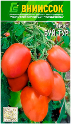 Томат БУЙ ТУР ВНИИССОК
