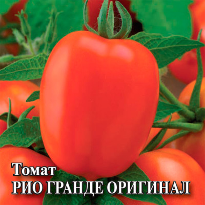 Томат РИО ГРАНДЕ ГАВРИШ
