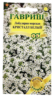 Лобулярия морская КРИСТАЛЛ БЕЛЫЙ ГАВРИШ