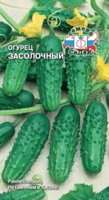Огурец Засолочный Огурец Засолочный