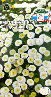 Матрикария Сноу болл белый