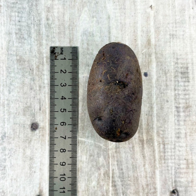 Картофель семенной Фиолетовый (фасовка 5шт)