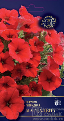 Петуния Магдалена F1 (многоцветковая) (Евро, 5; 8457)
