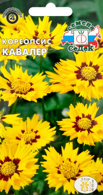 Кореопсис Кавалер (ланцетовидный, золотисто-желтый)