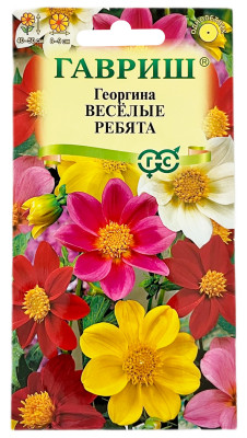 Георгина Веселые ребята ГАВРИШ