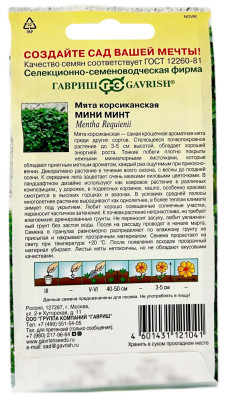 Мята корсиканская МИНИ МИНТ ГАВРИШ описание