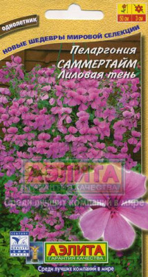 Пеларгония Герань Саммертайм Лиловая тень