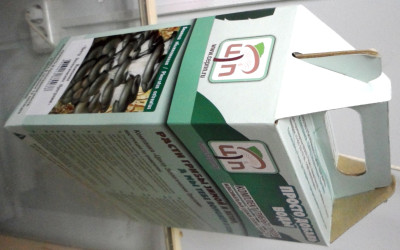 Грибы Мицелий в грибных грядках Вешенка обыкновенная