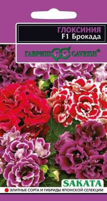 Глоксиния Брокада F1 гранул. 4шт пробирка Н12