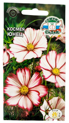 Космея космос дваждыперистая ЮНЕЦ СеДеК