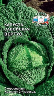 капуста Вертус (САВ)