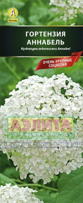 Гортензия древовидная Аннабель (древовидная, белая)