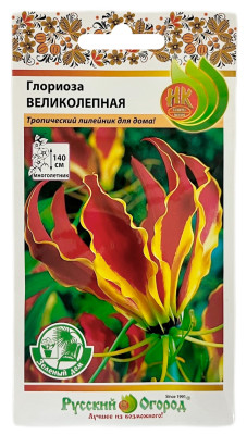 Глориоза ВЕЛИКОЛЕПНАЯ Русский Огород