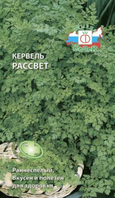 Кервель Рассвет