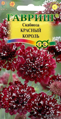 Скабиоза темнопурпурная Красный король махр. 6шт