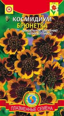 Космидиум Брюнетка