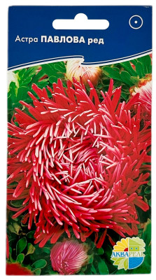 Астра ПАВЛОВА ред АКВАРЕЛЬ