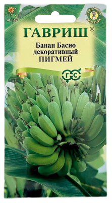 Банан БАСИО декоративный ПИГМЕЙ ГАВРИШ