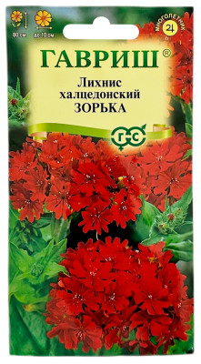 Лихнис халцедонский ЗОРЬКА ГАВРИШ