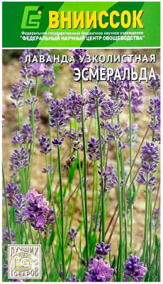 Лаванда Эсмеральда ВНИИССОК