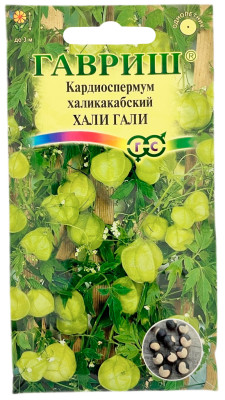 Кардиосперум халикакабский ХАЛИ ГАЛИ ГАВРИШ
