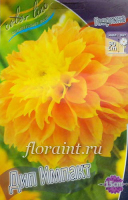 Георгин Дип Импакт (1шт) 4386