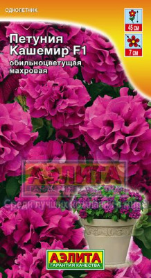 Петуния Кашемир, обильноцветущая 10 шт. (бордовая) +