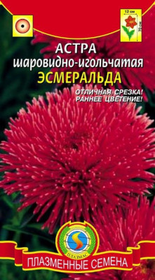 Астра Эсмеральда