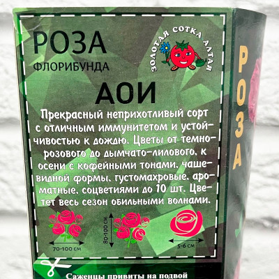 Роза японская АОИ описание