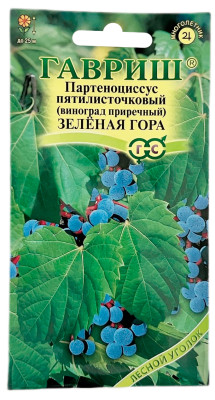 Партеноциссус пятилисточковый ЗЕЛЁНАЯ ГОРА ГАВРИШ Партеноциссус пятилисточковый ЗЕЛЁНАЯ ГОРА ГАВРИШ