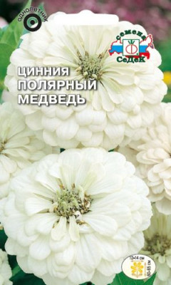 Цинния Полярный Медведь георгиновидная (белая)