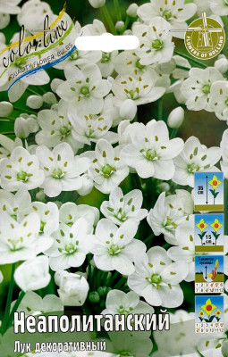 Лук декор. Неаполитанский (15шт)