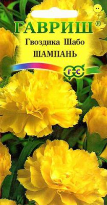 Гвоздика Шабо Шампань*  0,1 г Гвоздика Шабо Шампань*  0,1 г