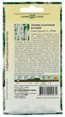 Лиатрис колосковый БЕЛЫЙ ГАВРИШ описание