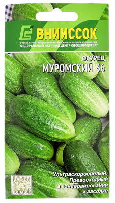Огурец МУРОМСКИЙ 36 ВНИИССОК