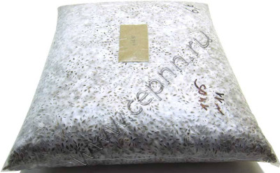 Грибы Мицелий зерновой Вешенка Хитчер 10л (6кг) в пакете