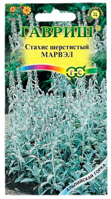Стахис шерстистый Марвэл ГАВРИШ
