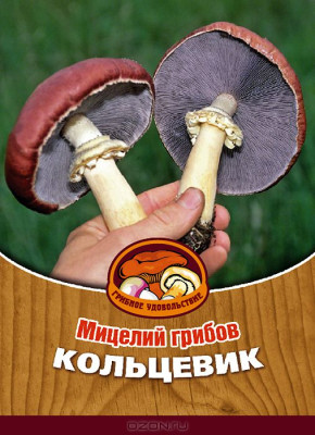 Грибы Кольцевик