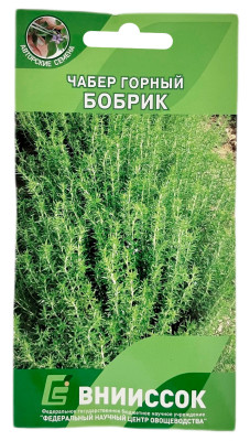 Чебер горный БОБРИК ВНИИССОК