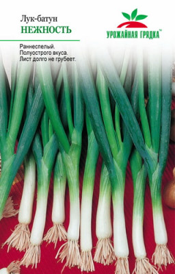 Лук батун Нежность УГ